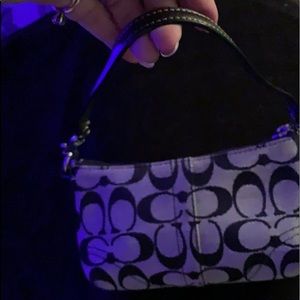 Mini Kim? Black n tan